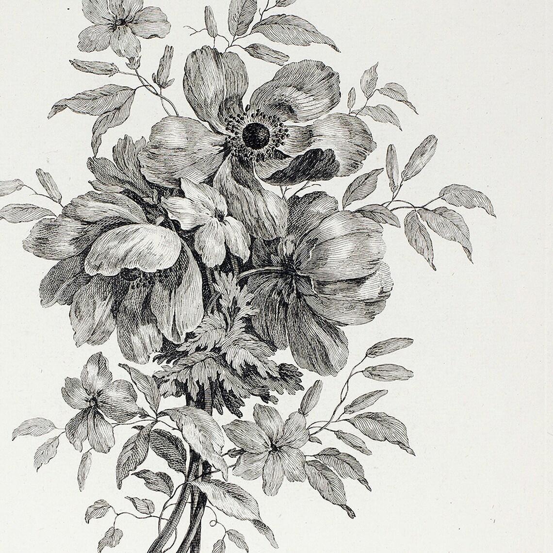 Flower Print Floral Sketch Flower Art Vintage Drawing Etsy España