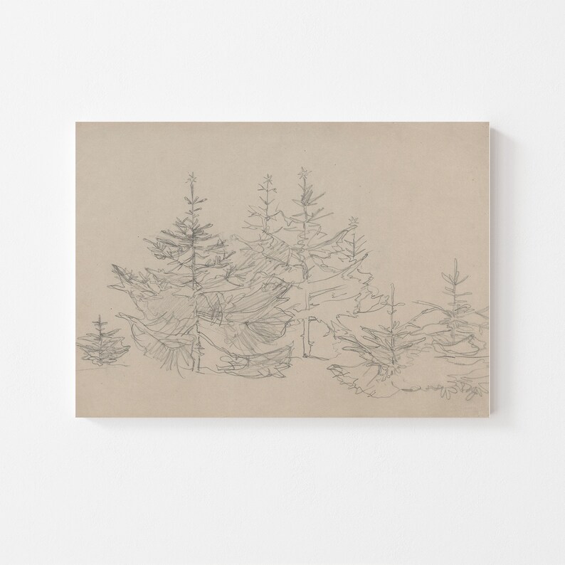 May include: A black and white line drawing of a group of pine trees on a beige background.