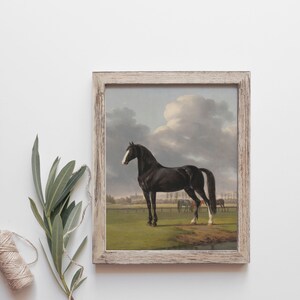 Equestrian Print | Black Horse Oil Painting | Horse Drawing | Horse Print | Farmhouse Wall Art | Vintage Prints | PRINTABLE Art #26 image 3