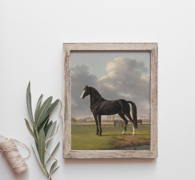 Equestrian Print | Black Horse Oil Painting | Horse Drawing | Horse Print | Farmhouse Wall Art | Vintage Prints | PRINTABLE Art #26 image 3