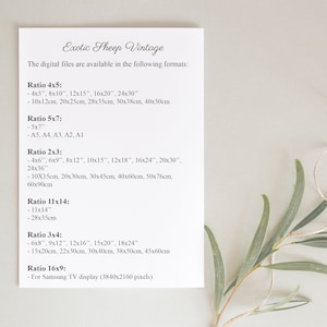 May include: A white sheet of paper with black text listing different aspect ratios and their corresponding sizes in inches and centimeters. The text reads "Exotic Sheep Vintage" and "The digital files are available in the following formats:" followed by a list of aspect ratios and their corresponding sizes.