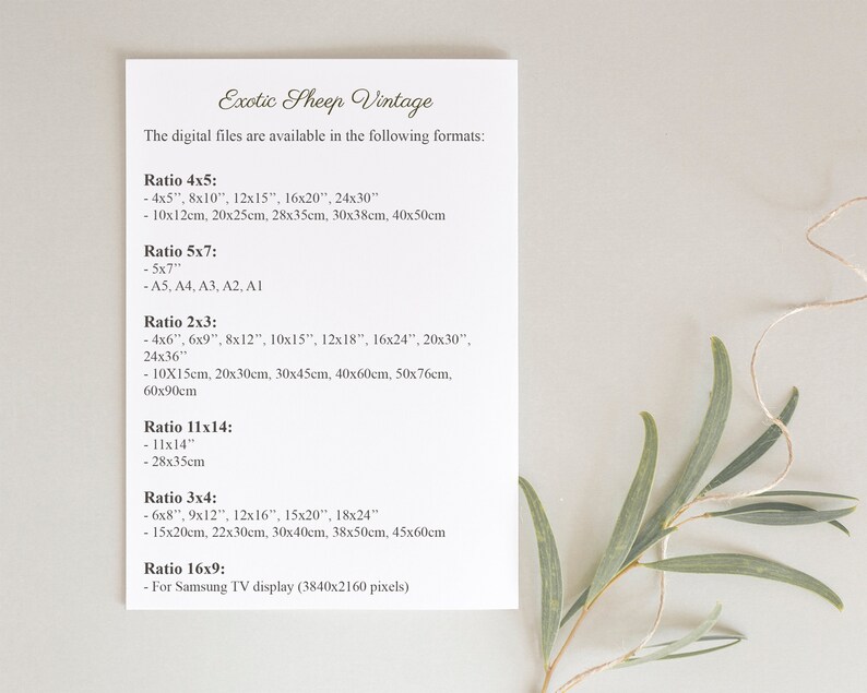 May include: A white sheet of paper with black text listing different aspect ratios and their corresponding sizes in inches and centimeters. The text reads "Exotic Sheep Vintage" and "The digital files are available in the following formats:" followed by a list of aspect ratios and their corresponding sizes.