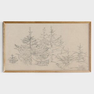 May include: A black and white pencil drawing of a group of pine trees in a forest setting. The trees are drawn with fine lines and details, creating a realistic and detailed image.