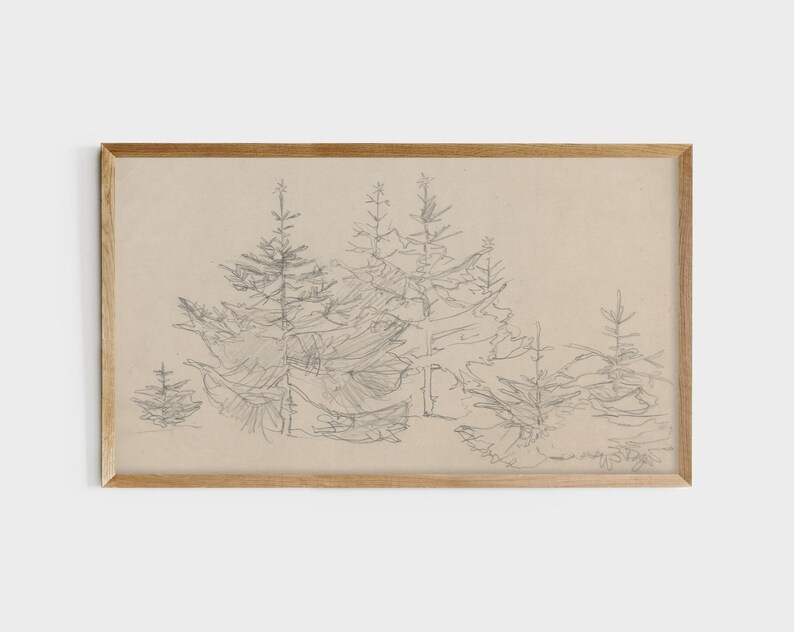 May include: A black and white pencil drawing of a group of pine trees in a forest setting. The trees are drawn with fine lines and details, creating a realistic and detailed image.