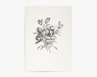 Floral Drawing Floral Sketch Flower Print Flower Art | Etsy