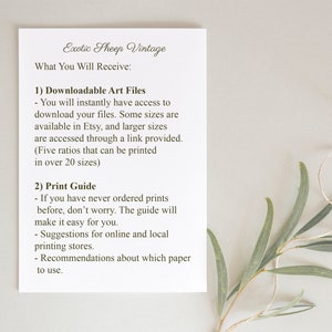 May include: A white card with black text describing the downloadable art files and print guide included with a purchase. The text reads "Exotic Sheep Vintage" and "What You Will Receive: 1) Downloadable Art Files - You will instantly have access to download your files. Some sizes are available in Etsy, and larger sizes are accessed through a link provided. (Five ratios that can be printed in over 20 sizes) 2) Print Guide - If you have never ordered prints before, don't worry. The guide will make it easy for you. - Suggestions for online and local printing stores. - Recommendations about which paper to use."