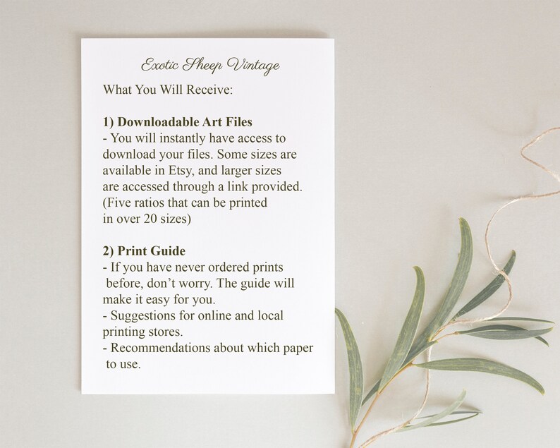 May include: A white card with black text describing the downloadable art files and print guide included with a purchase. The text reads "Exotic Sheep Vintage" and "What You Will Receive: 1) Downloadable Art Files - You will instantly have access to download your files. Some sizes are available in Etsy, and larger sizes are accessed through a link provided. (Five ratios that can be printed in over 20 sizes) 2) Print Guide - If you have never ordered prints before, don't worry. The guide will make it easy for you. - Suggestions for online and local printing stores. - Recommendations about which paper to use."