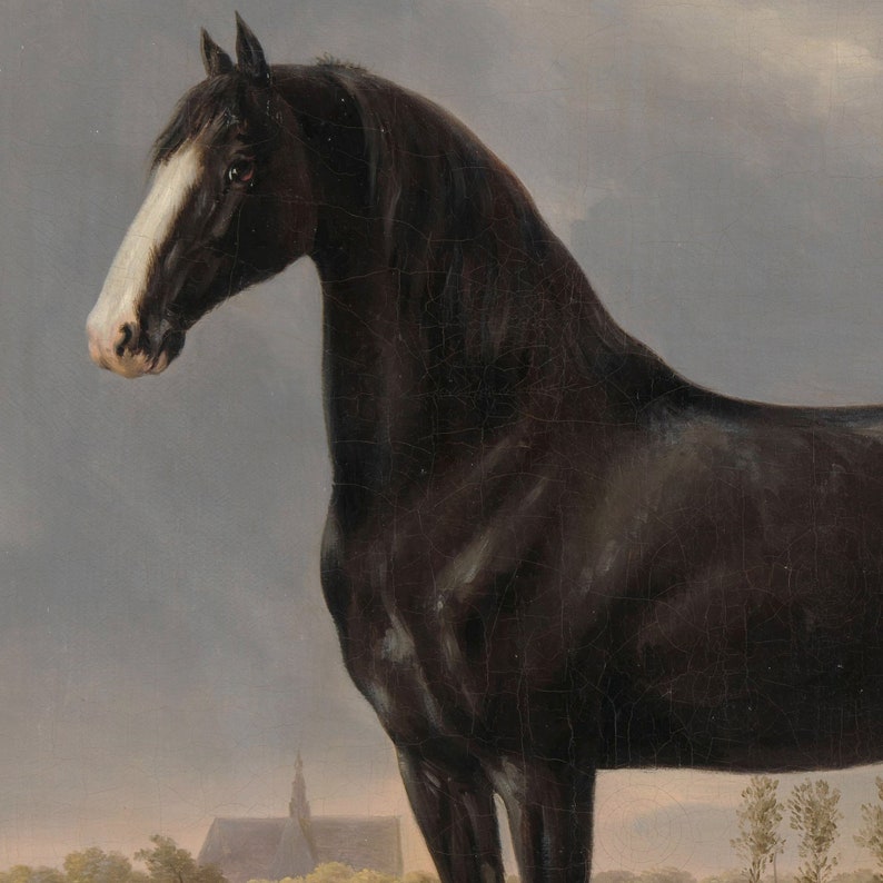 Equestrian Print | Black Horse Oil Painting | Horse Drawing | Horse Print | Farmhouse Wall Art | Vintage Prints | PRINTABLE Art #26 image 4