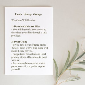 May include: A white sheet of paper with black text describing the downloadable art files and print guide included with the purchase of an exotic sheep vintage art print. The text reads "Exotic Sheep Vintage What You Will Receive: 1) Downloadable Art Files - You will instantly have access to download your files.through a link provided. 2) Print Guide - If you have never ordered prints before, don't worry. The guide will make it easy for you. - Suggestions for online and local printing stores. (Or choose to print with us.) - Recommendations about which paper to use if you prefer to print yourself."