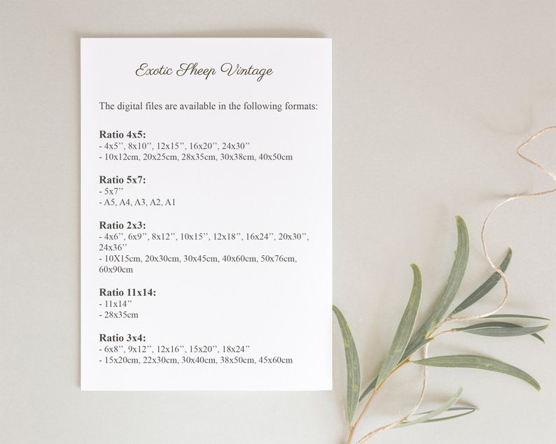 May include: A white sheet of paper with black text listing different sizes and ratios for digital files. The text reads "Exotic Sheep Vintage" and "The digital files are available in the following formats: Ratio 4x5: -4x5", 8x10", 12x15", 16x20", 24x30" -10x12cm, 20x25cm, 28x35cm, 30x38cm, 40x50cm Ratio 5x7: - 5x7" -A5, A4, A3, A2, A1 Ratio 2x3: -4x6", 6x9", 8x12", 10x15", 12x18", 16x24", 20x30", 24x36" -10X15cm, 20x30cm, 30x45cm, 40x60cm, 50x76cm, 60x90cm Ratio 11x14: -11x14" - 28x35cm Ratio 3x4: - 6x8", 9x12", 12x16", 15x20", 18x24" -15x20cm, 22x30cm, 30x40cm, 38x50cm, 45x60cm"
