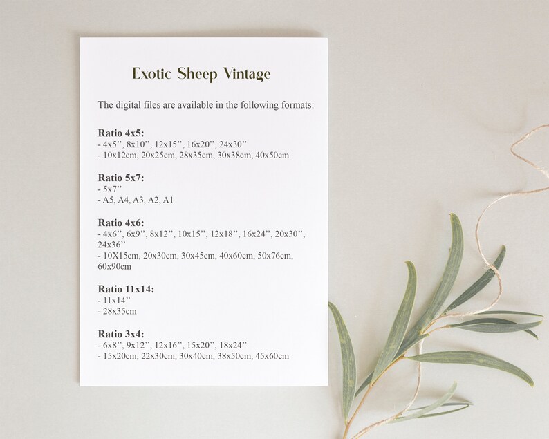 May include: A white sheet of paper with black text listing different ratios and sizes for digital files. The text reads "Exotic Sheep Vintage" and "The digital files are available in the following formats:" followed by a list of ratios and sizes in inches and centimeters.