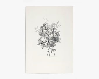 Vintage Peony Flower Prints 6 Minimal Modern Wall Art - Etsy