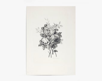 Peony Sketch | Vintage Flower Print | Floral Drawing | Floral Sketch Flower Art | Vintage Print | Vintage Wall Art | PRINTABLE Art #166