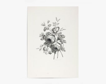 Peony Sketch | Floral Drawing | Floral Sketch | Flower Print | Flower Art | Vintage Print | Vintage Wall Art | PRINTABLE Art #165