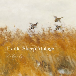 May include: A vintage painting of a flock of ducks flying over a field of tall, golden reeds. The text "Exotic Sheep Vintage details" is written in white at the bottom of the image.