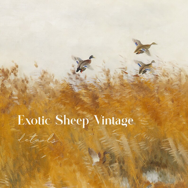 May include: A vintage painting of a flock of ducks flying over a field of tall, golden reeds. The text "Exotic Sheep Vintage details" is written in white at the bottom of the image.