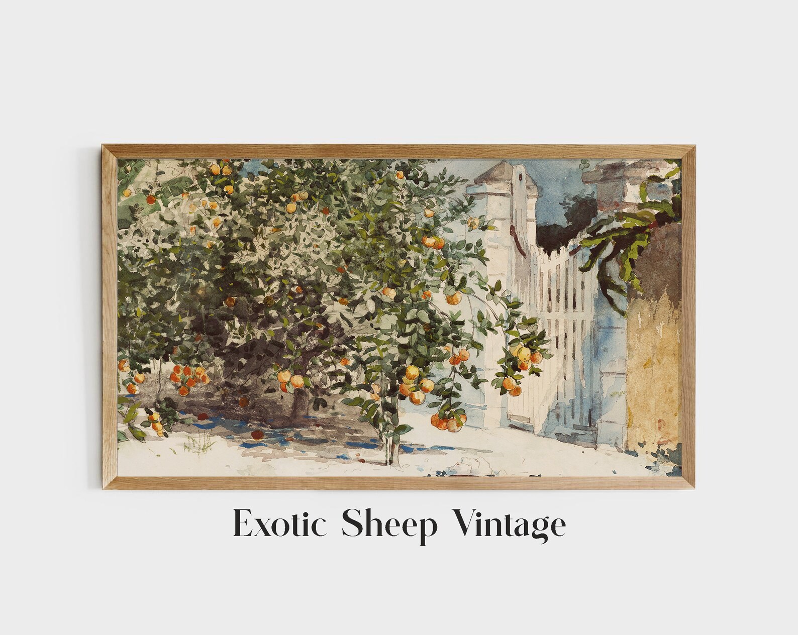 Spanish Kitchen Decor Orange Tree Vintage Watercolor - Etsy