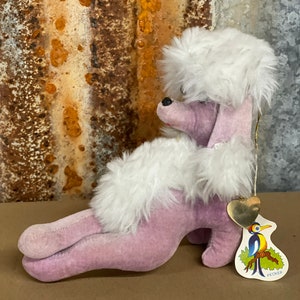 Herman Pecker lounging poodle