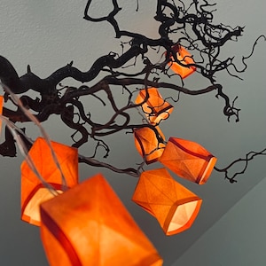 Könnte beinhalten: Geometrische orangefarbene Papierlaternen hängen an einem dunklen, verdrehten Ast. Die Laternen sind von innen beleuchtet und erzeugen ein warmes Leuchten. Der Hintergrund ist hellgrau.