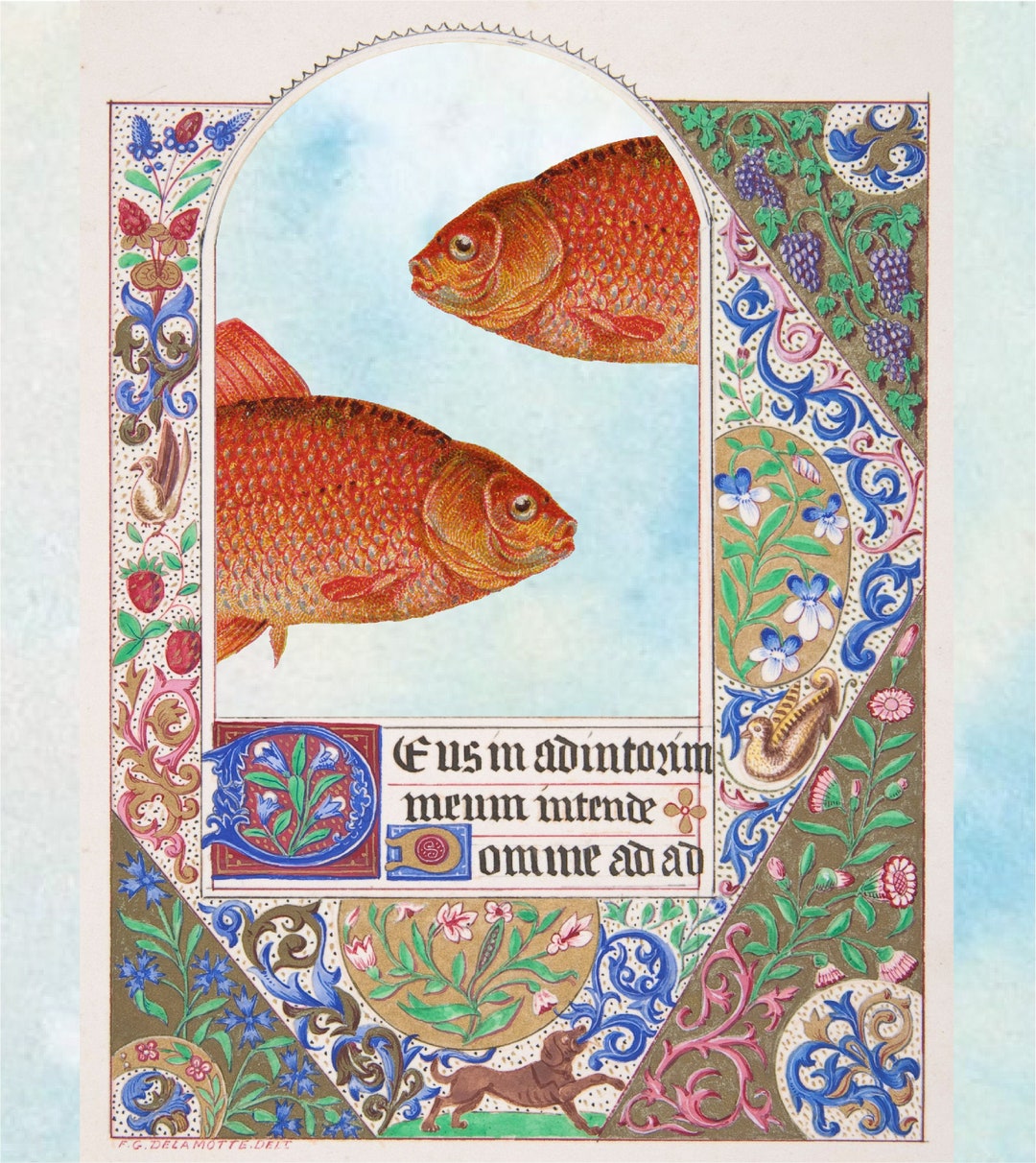 Sign Medieval Fish Illuminated Goldfish Medieval Manuscript Art History Cropped Poster - Etsy