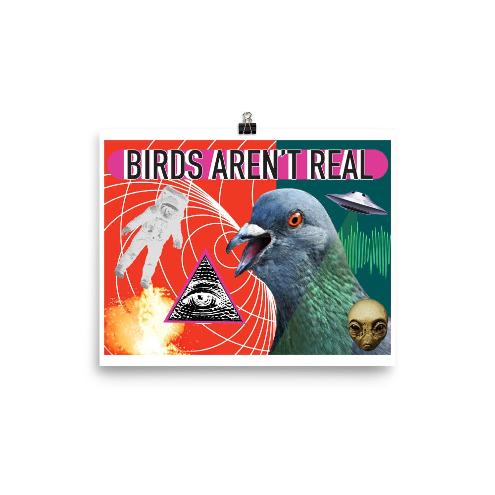 Birds Aren't Real Funny Meme Humor Surreal Aliens Poster - Etsy