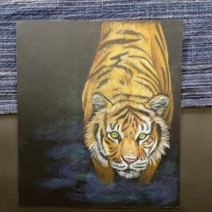 Auge des Tigers