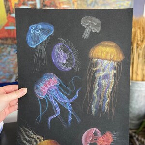 Jellies
