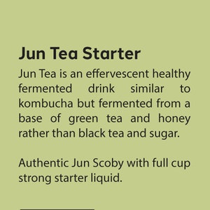 Authentic Jun Scoby with full cup strong starter liquid