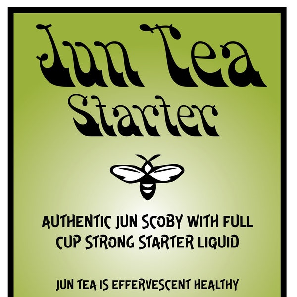 Authentic Jun Scoby with full cup strong starter liquid