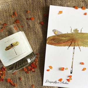 Outlander inspired gift set, candle and print gift set, dragonfly in Amber scented soy candle, Scotland, dragonfly, mothers day