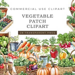 Clipart moestuin, aquarel boerderijgroenten png (digitale download)