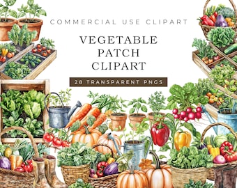 Vegetable Patch Clipart, Watercolor Farm Veggies PNG (Digital Download)