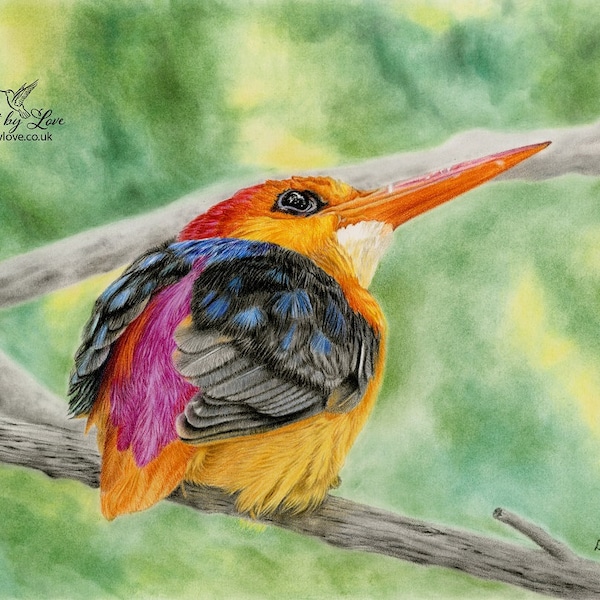 Oriental-dwarf Kingfisher Print Bird Poster Nature Design Ornithology Wall Art Wildlife Home Office Room Decor Bright Colourful