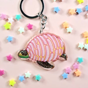 Op de afbeelding: Een heldere acryl sleutelhanger met een schildpad ontwerp. De schildpad heeft een roze schild met gele accenten en een groene kop. De sleutelhanger is bevestigd aan een zilveren metalen ring en ketting. Kleurrijke stervormige kralen zijn verspreid rond de sleutelhanger op een roze achtergrond.
