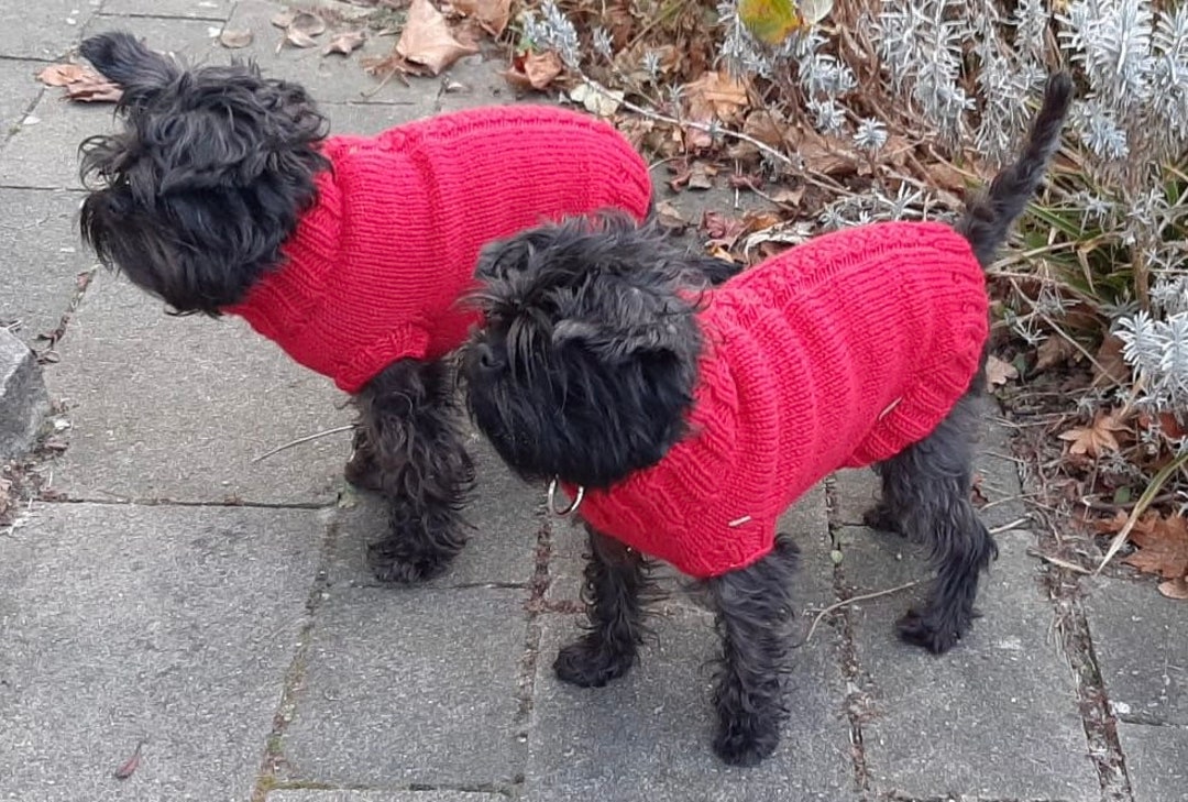 Knitting Instructions Cute Dog Sweater Etsy