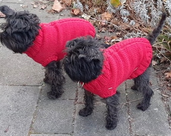 Instructions de tricot : Joli pull pour chien