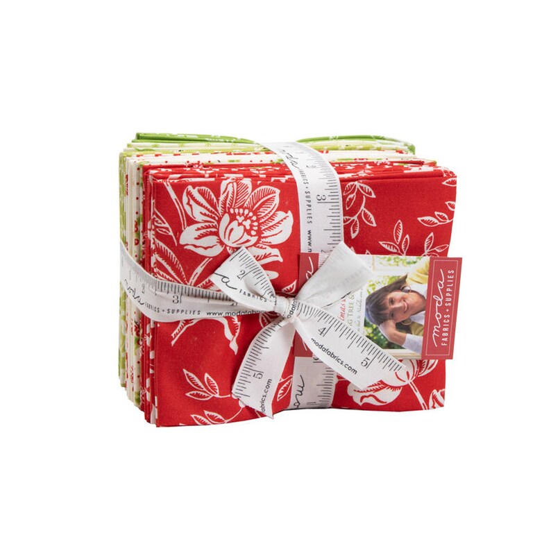 Christmas Fig II by Fig Tree /& Co for Moda FQB Item number 20312AB