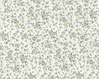 Dwell by Camille Roskelley for Moda Fabrics 55277-31 Cream Grass