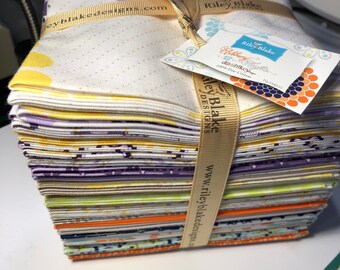 Ashbury Heights by Doohikey Designs for Riley Blake Designs. Item FQ-3340-25. Fat quarter bundle 25 Pieces.