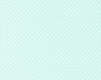 Lighthearted by Camille Roskelley for Moda Fabrics 55295-14 Light Aqua