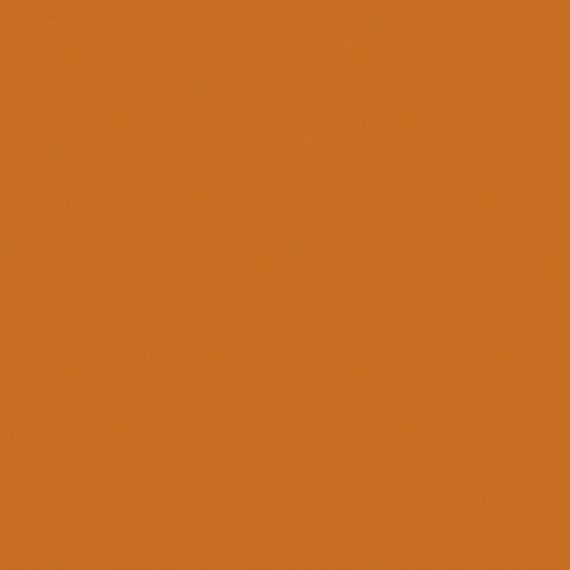 Moda Bella Solid - Pumpkin 454 Moda Bella Solid - Pumpkin 454