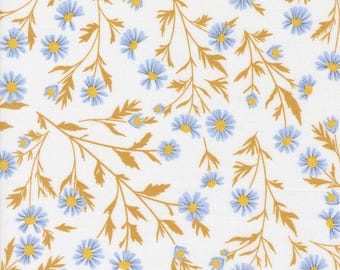 Sun Drenched by Sweetfire Road for Moda Fabrics, Item Number 43200-11 Cloud