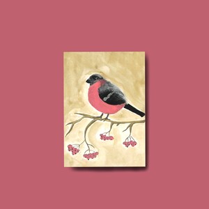 A6 Postkarte mit Vogeldruck, Grusskarte, Geburtstagskarte, Dompfaff, Vögel, Gimpel, birthday, love, wedding, Tiere, Ansichtskarte