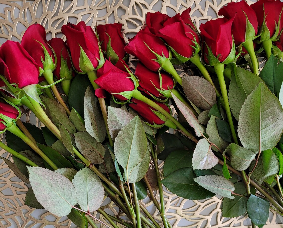 Rose Water Mist Infused With Real Roses Etsy