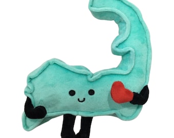 Cape Cod Stuffed Plush, Gifts for her, Dorm Decor, Graduation Gifts, Provincetown, beach house decor, Teacher Gift, Home Decor