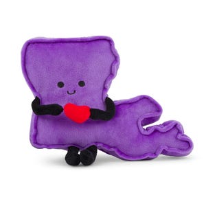 Muñeco de peluche del estado de Luisiana, regalo para ella, regalos de graduación, Nueva Orleans, Baton Rouge, LSU, regalo para maestros, EE. UU., Tigres
