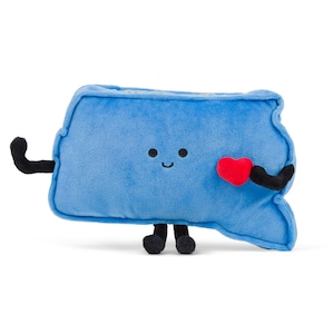 Bambola di peluche dello Stato del Dakota del Sud, regalo per lei, decorazione del dormitorio, regali di laurea, Sioux Falls, Rapid City, regalo per insegnanti