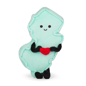 Peluche del estado de Nueva Jersey: regalos de graduación, decoración de dormitorios, Día de la Madre, regalos únicos para ella / Jersey Shore, Asbury Park, Hoboken, diploma