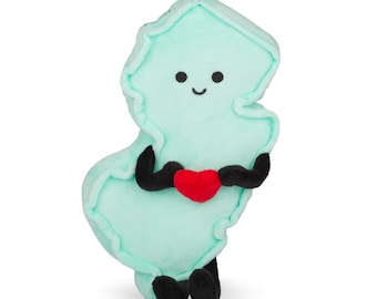 Peluche del estado de Nueva Jersey: regalos de graduación, decoración de dormitorios, Día de la Madre, regalos únicos para ella / Jersey Shore, Asbury Park, Hoboken, diploma