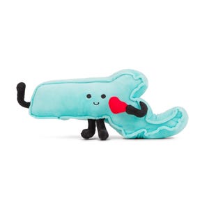 Massachusetts State Plüsch Stofftier, Geschenk für sie, Wohnheim Dekor, Abschlussgeschenke, Lehrer Geschenk, Boston, UMASS. Wohndeko,